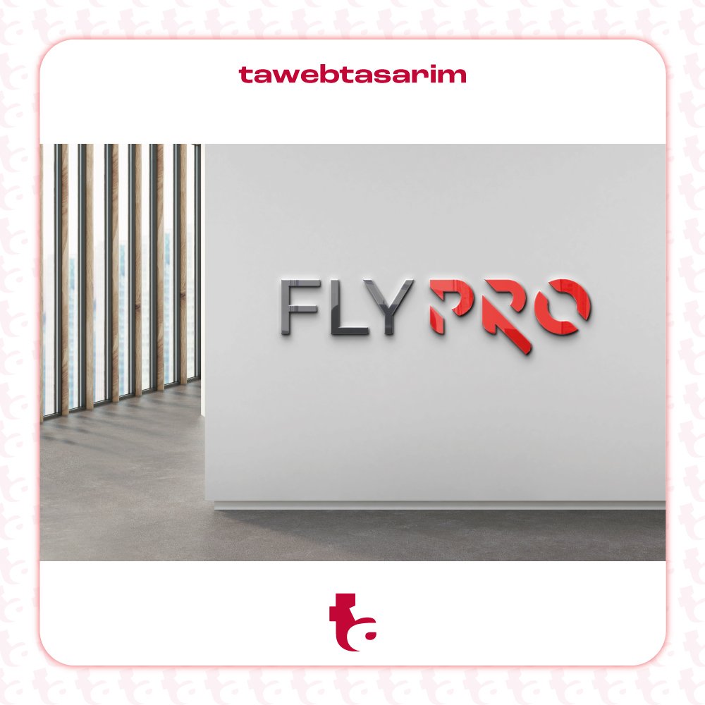 Fly Pro logo tasarım çalışması