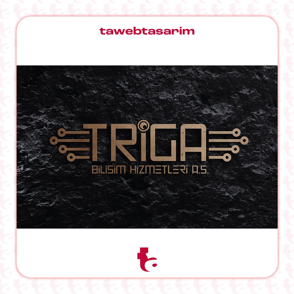 Triga Bilişim Hizmetleri A.Ş. logo tasarım çalışması